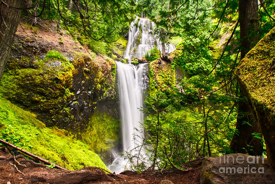 Falls Creek Falls Photograph by Bruce Block