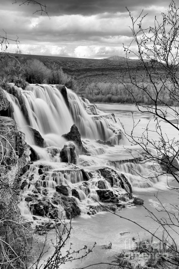 Falls Creek Falls Through The Brush Black And White Photograph by Adam Jewell