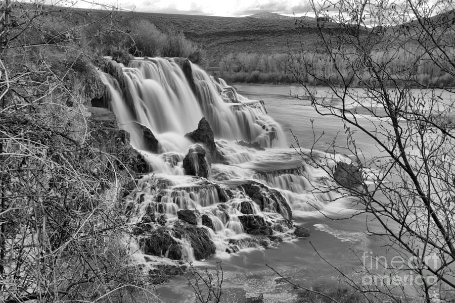 Falls Creek Falls Through The Brush Landscape Black And White Photograph by Adam Jewell