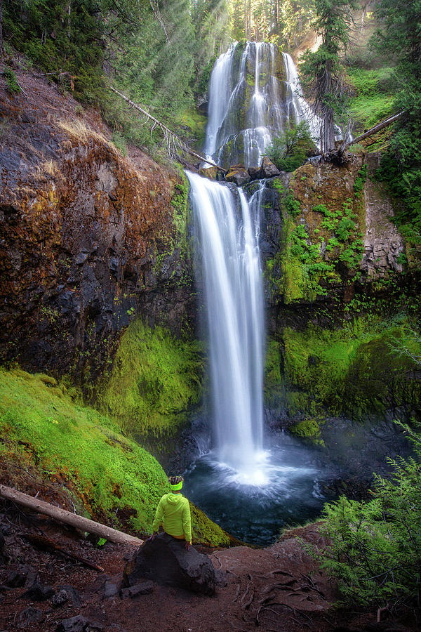 Falls Creek Falls with person Photograph by Alex Mironyuk