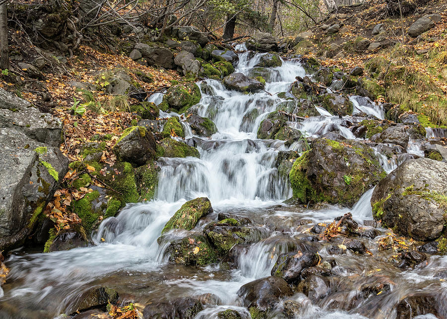 Falls Creek by James Capo for Foundation Outreach Internationa Falls Creek by James Capo for Foundation Outreach Internationa