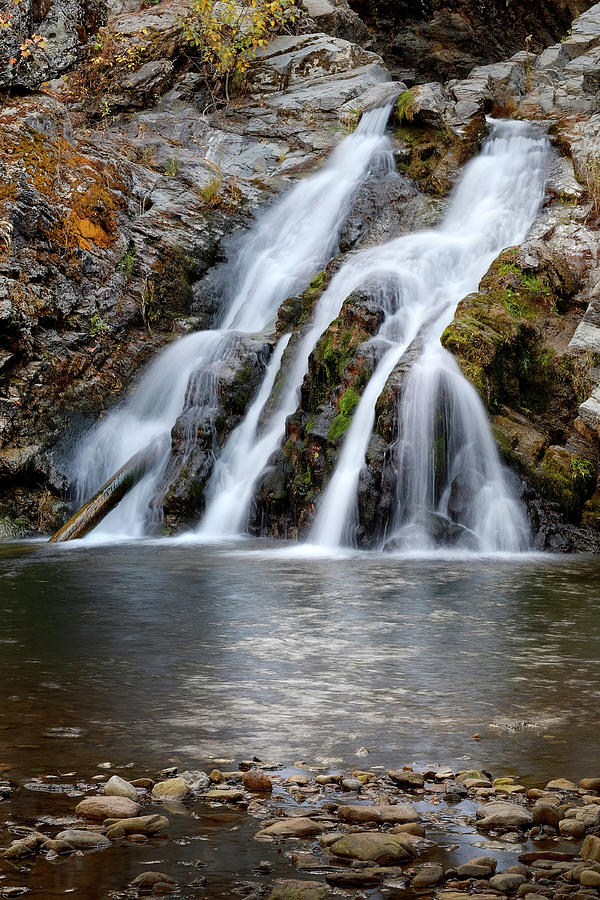 Falls Creek, St. Joe River, Idaho, Usa Photograph by Theodore Clutter