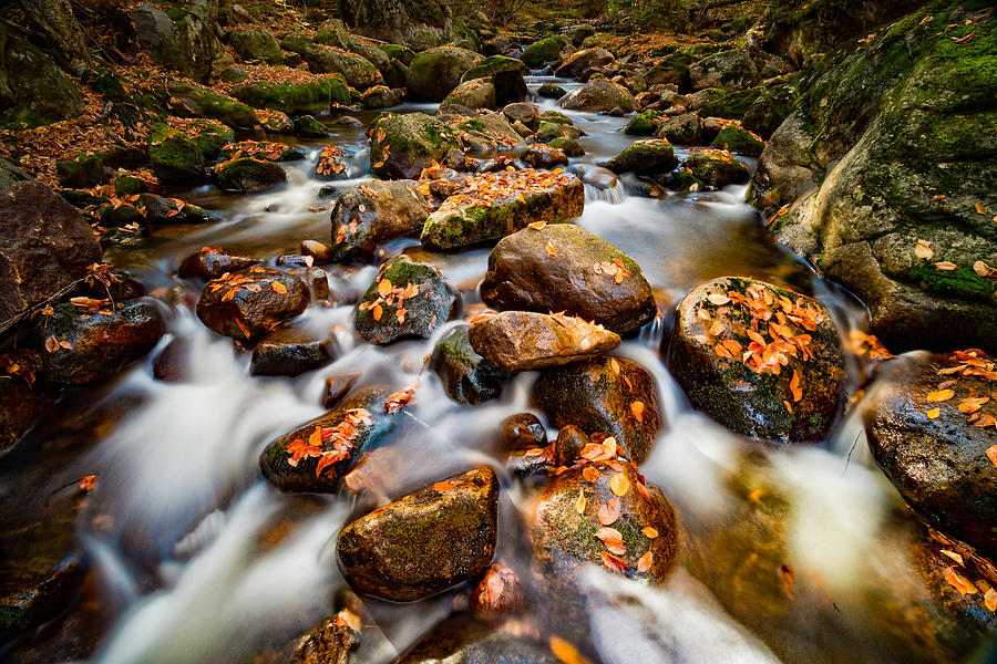 Fall\s Flow And Colors Photograph by David Boutin