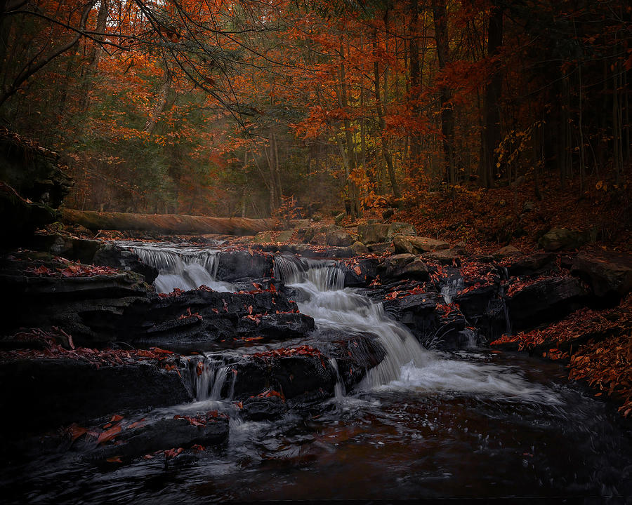 Falls In Autumn Photograph by Cicy Chen