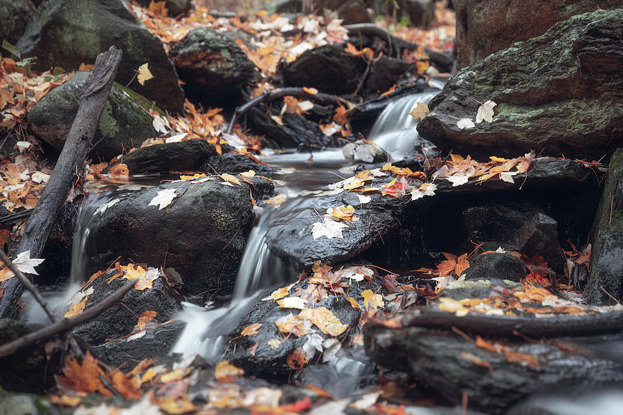 Falls in Fall Photograph by Brian Hale