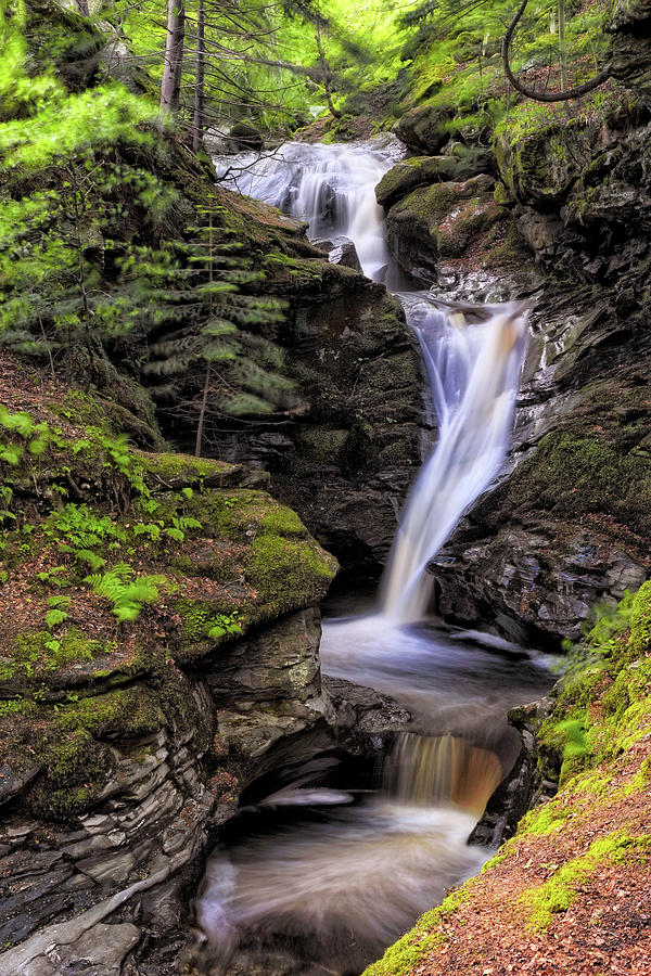 Tree Photograph - Falls of Acharn - Perthshire Scotland - Waterfall by Jason Politte