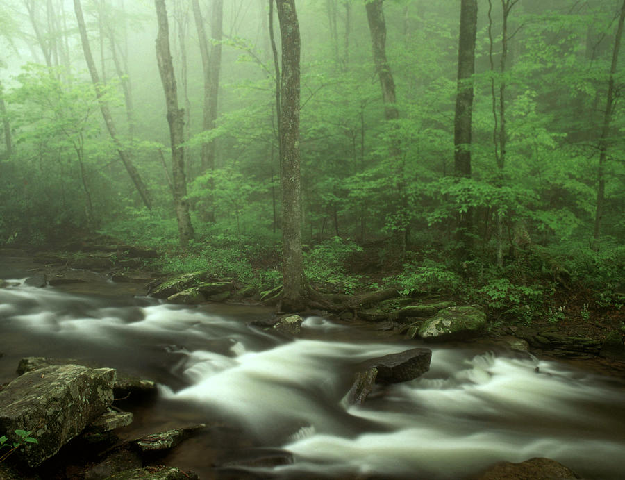 Falls Of Hills Creek, West Virginia Photograph by Michael Gadomski