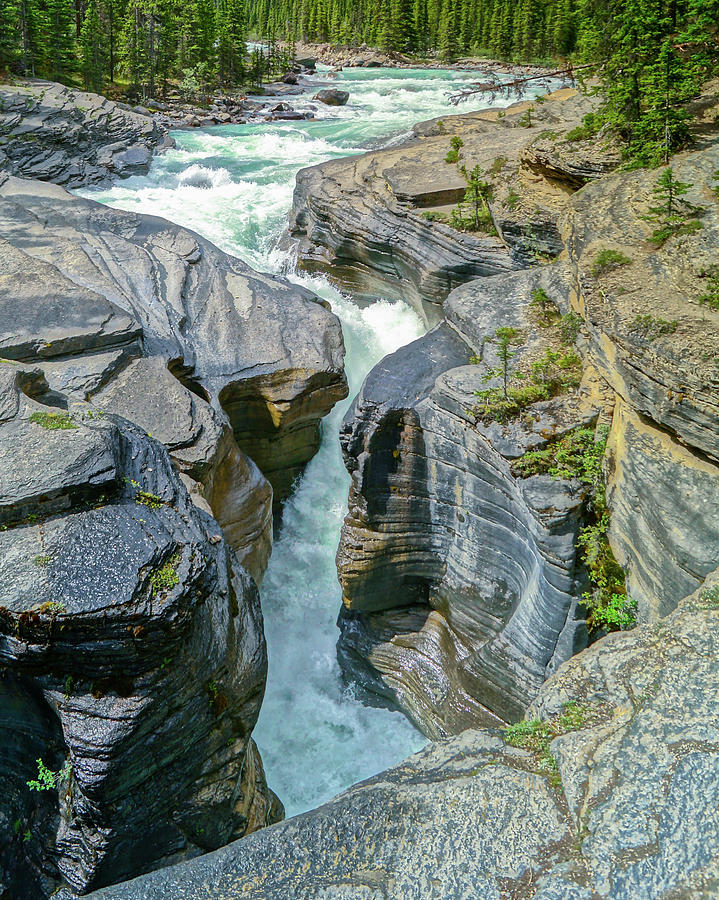 Falls of Mistaya Canyon Photograph by Joe Kopp