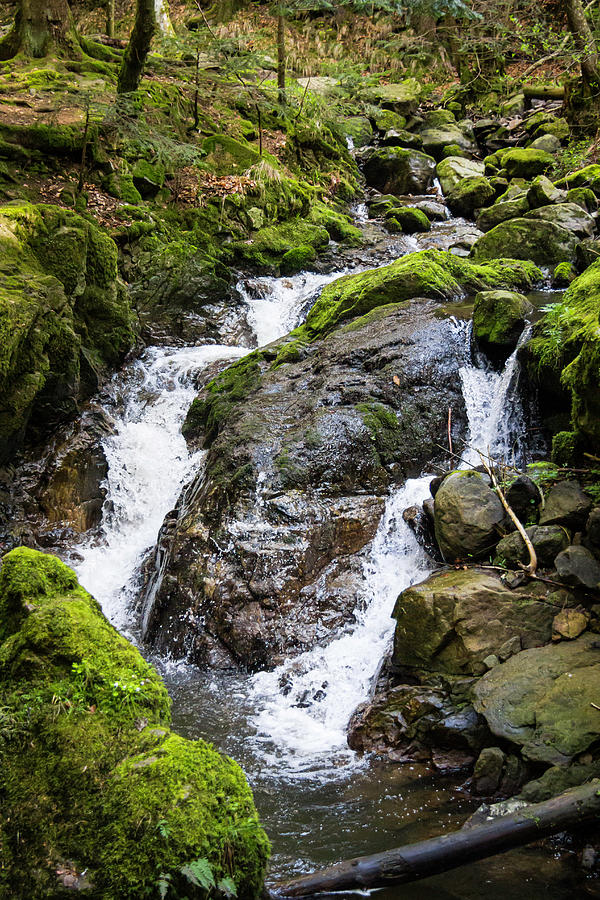 Falls on the Ravenna Stream Photograph by Teresa Mucha | Fine Art America