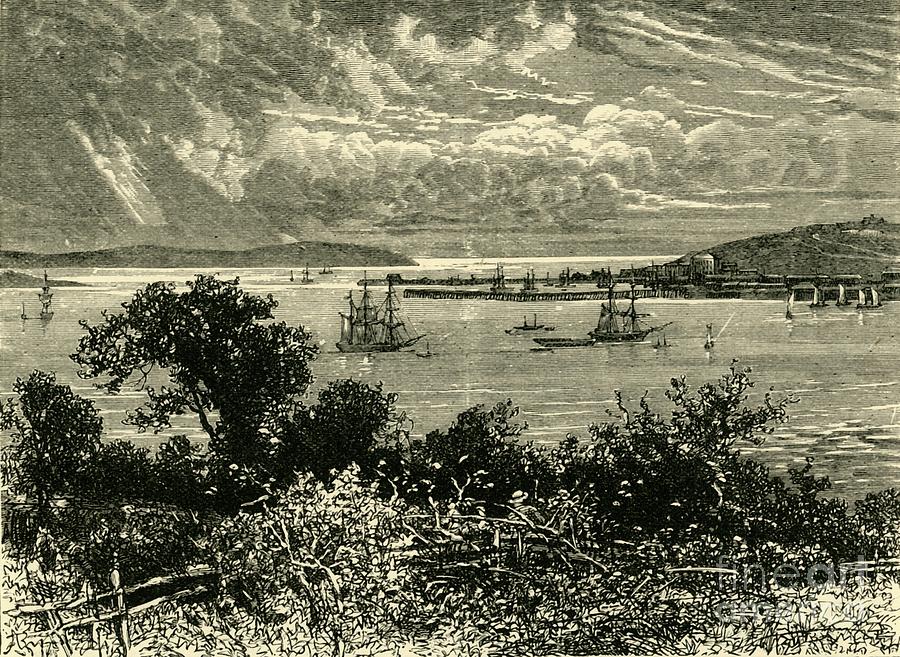Falmouth Harbour Drawing by Print Collector