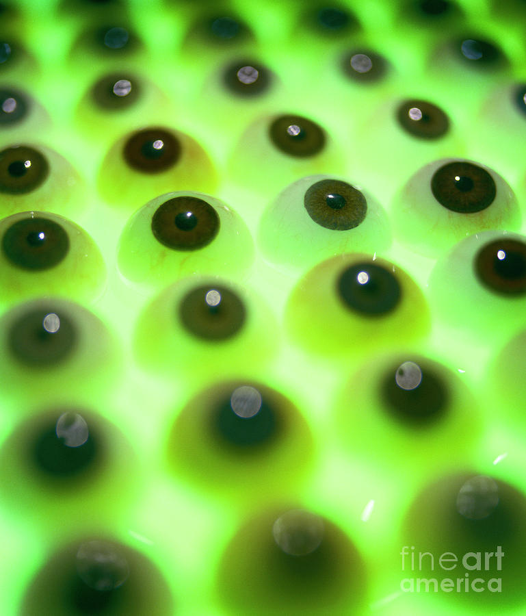 False Eyes Photograph by Lawrence Lawry/national Artificial Eye Service/science Photo Library