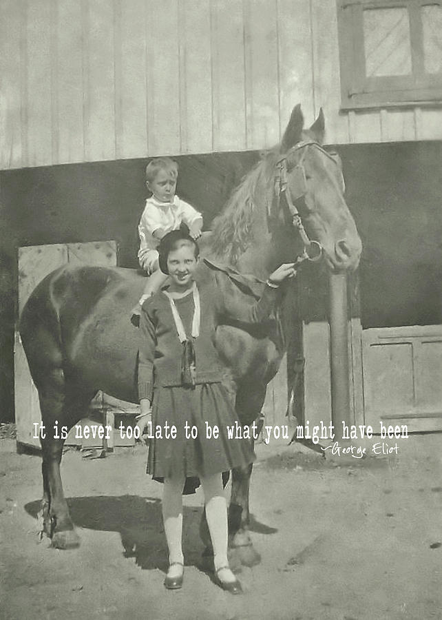 FAMILY FARM quote Photograph by Dressage Design