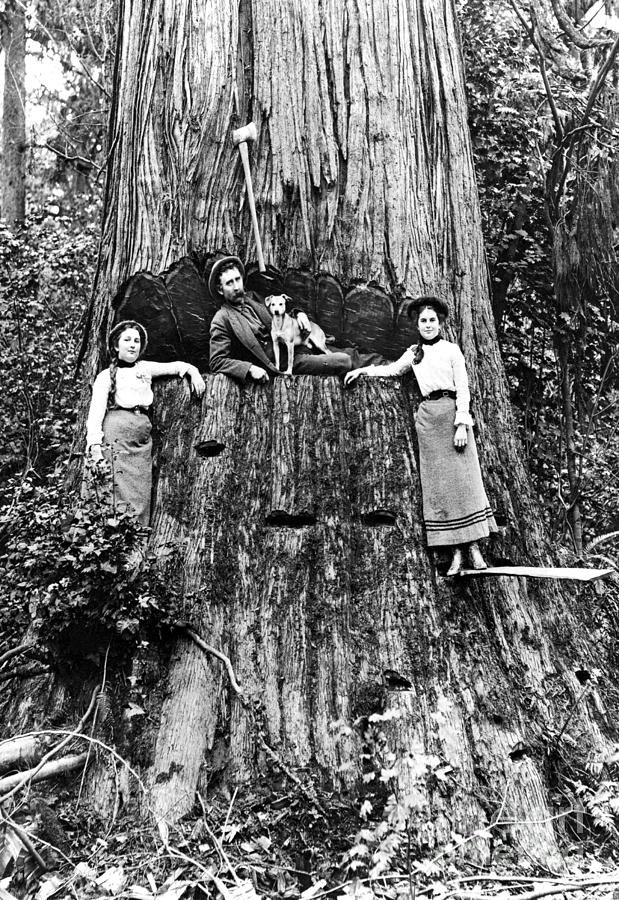 Family Fortune 1920 Photo Photograph by American School - Fine Art America