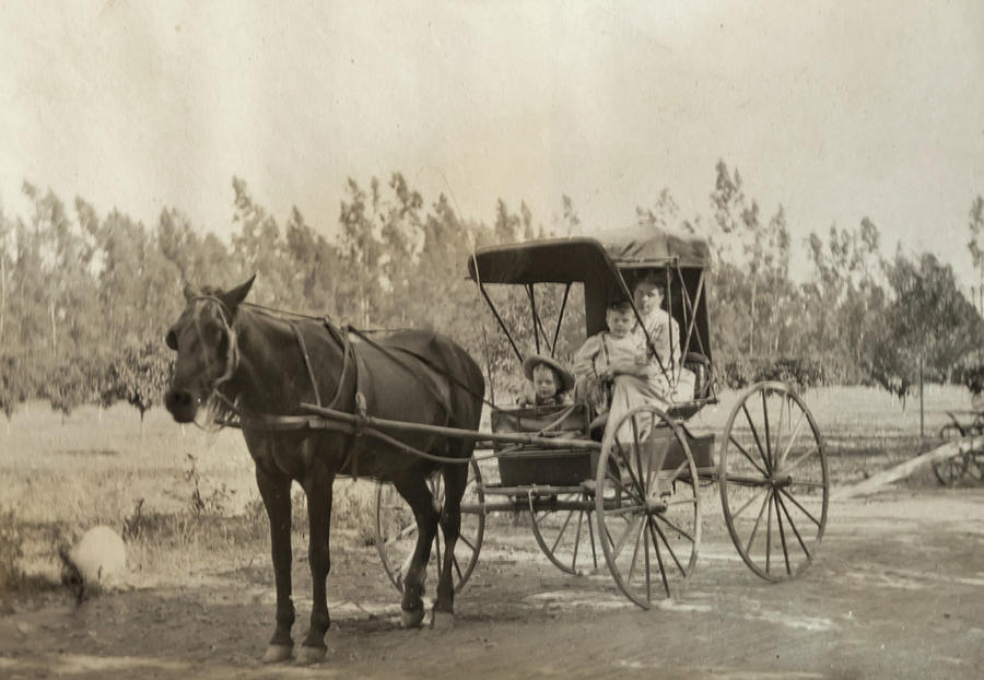 in a buggy