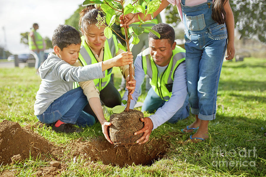 Family Volunteers Planting Tree In Park Photograph by Caia Image/science Photo Library