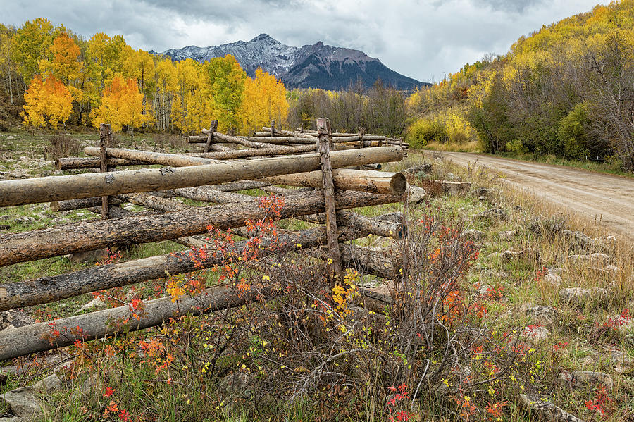 Famous Fence by Denise Bush Famous Fence by Denise Bush