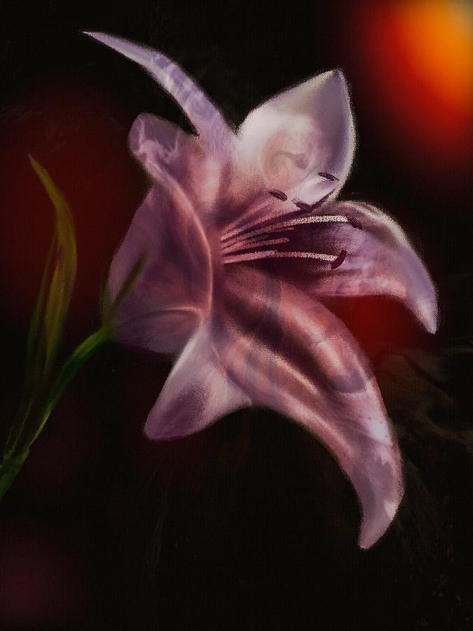 Fancy Lily Digital Art by Michele Koutris