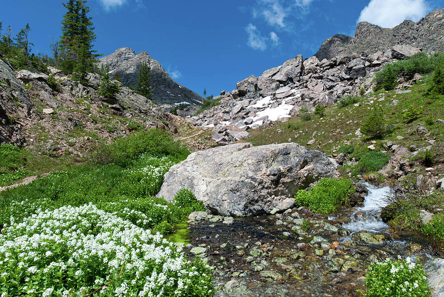 Fancy Pass Summer Landscape Photograph by Cascade Colors