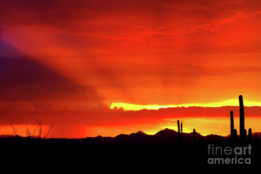 FANFARE AT SUNSET, JULY 24TH, 2019 by Douglas Taylor FANFARE AT SUNSET, JULY 24TH, 2019 by Douglas Taylor