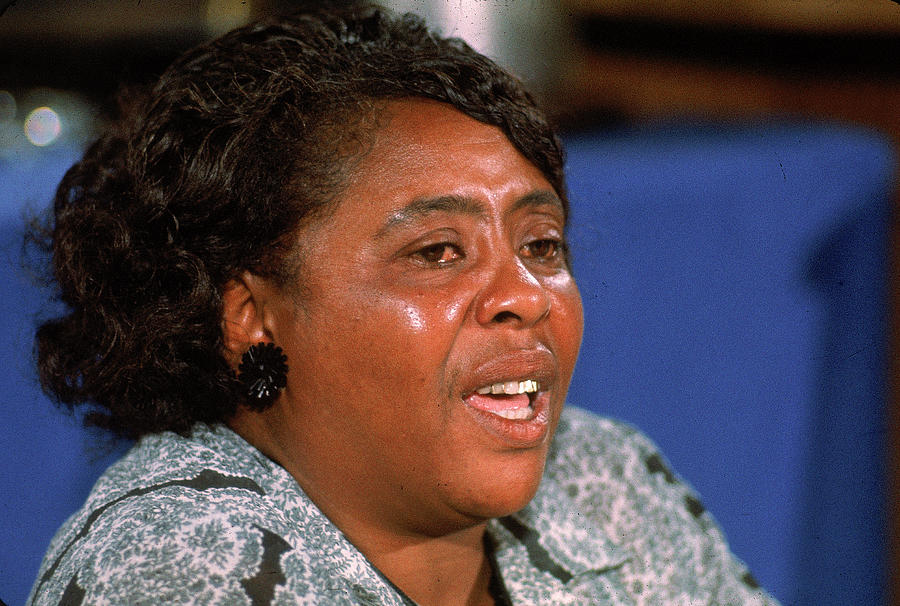 walk with me a biography of fannie lou hamer