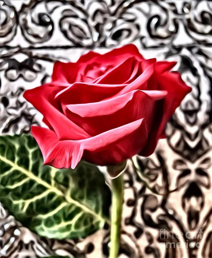 Rose Photograph - Fansy Rose by Mesa Teresita Rose Photograph - Fansy Rose by Mesa Teresita