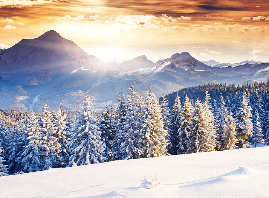 Year Photograph - Fantastic Evening Winter Landscape by Creative Travel Projects Year Photograph - Fantastic Evening Winter Landscape by Creative Travel Projects