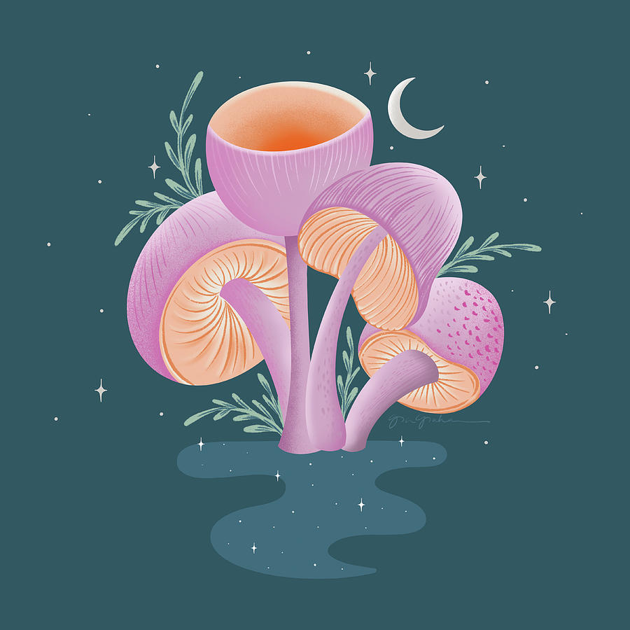 Mushroom Drawing - Fantastic Fungi V by Gia Graham