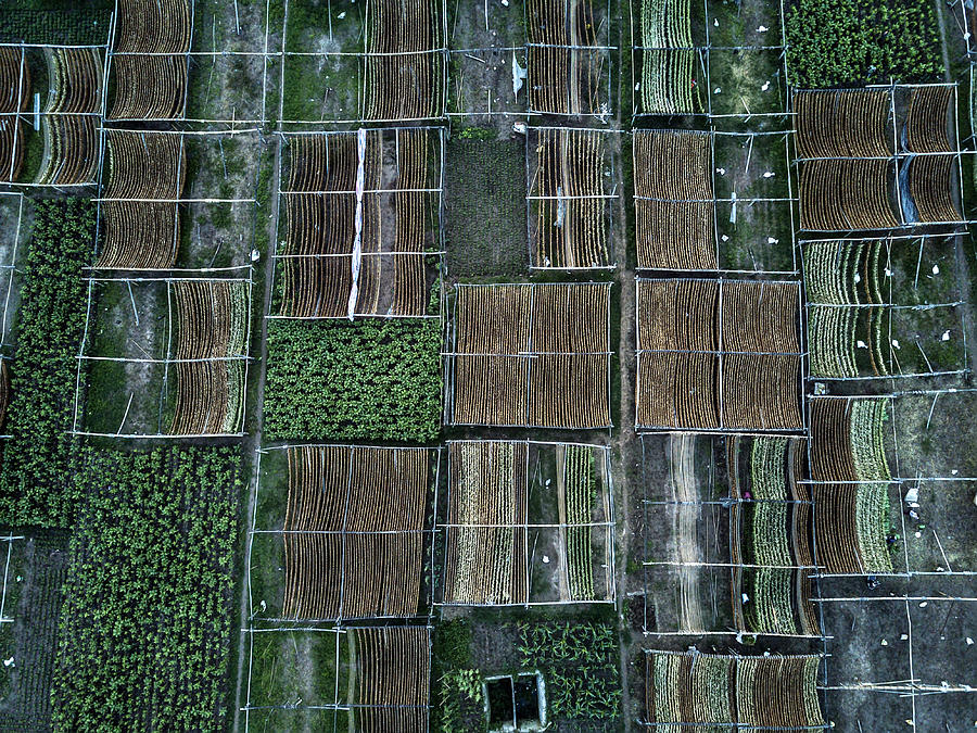 Landscape Photograph - Fantastic Pattern by Zhou Chengzhou