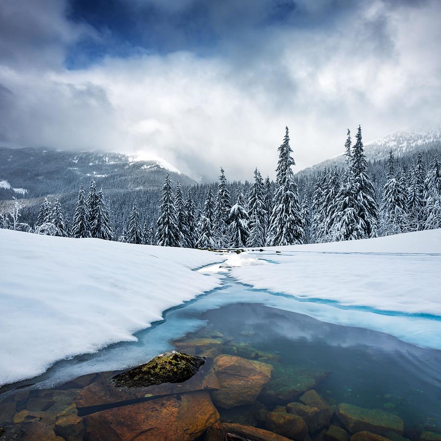 Winter Photograph - Fantastic Winter Landscape With Frozen by Ivan Kmit