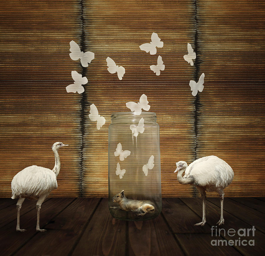 Play Photograph - Fantasy Artistic Composition by Valentina Photos Play Photograph - Fantasy Artistic Composition by Valentina Photos