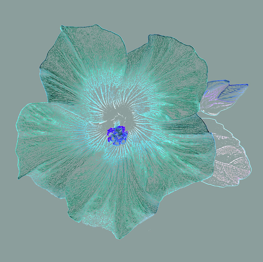 Fantasy Photograph - Fantasy Hibiscus Flower As Coloured by Rosemary Calvert