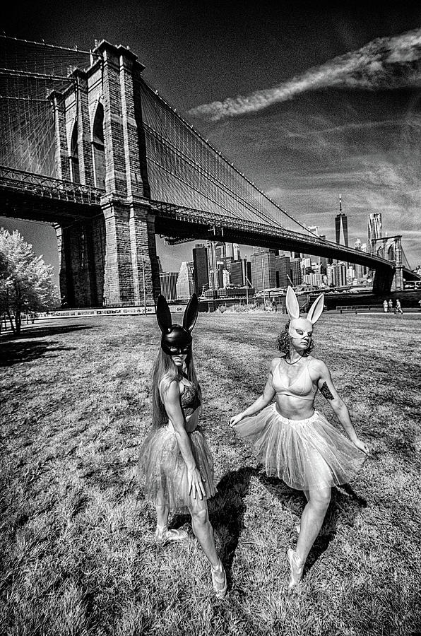 Fantasy in Brooklyn 2 Photograph by Alan Goldberg