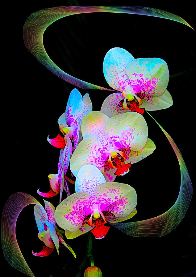 Fantasy Orchids in Full Color Photograph by Rosalie Scanlon