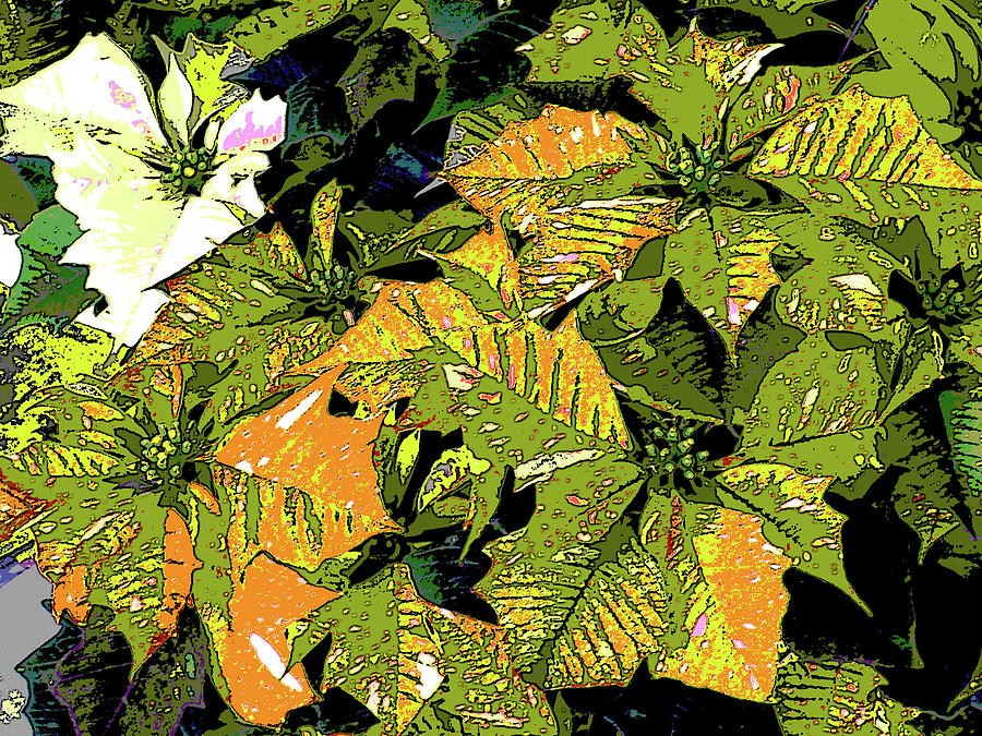 Holiday Cheer by Toni Leland Holiday Cheer by Toni Leland