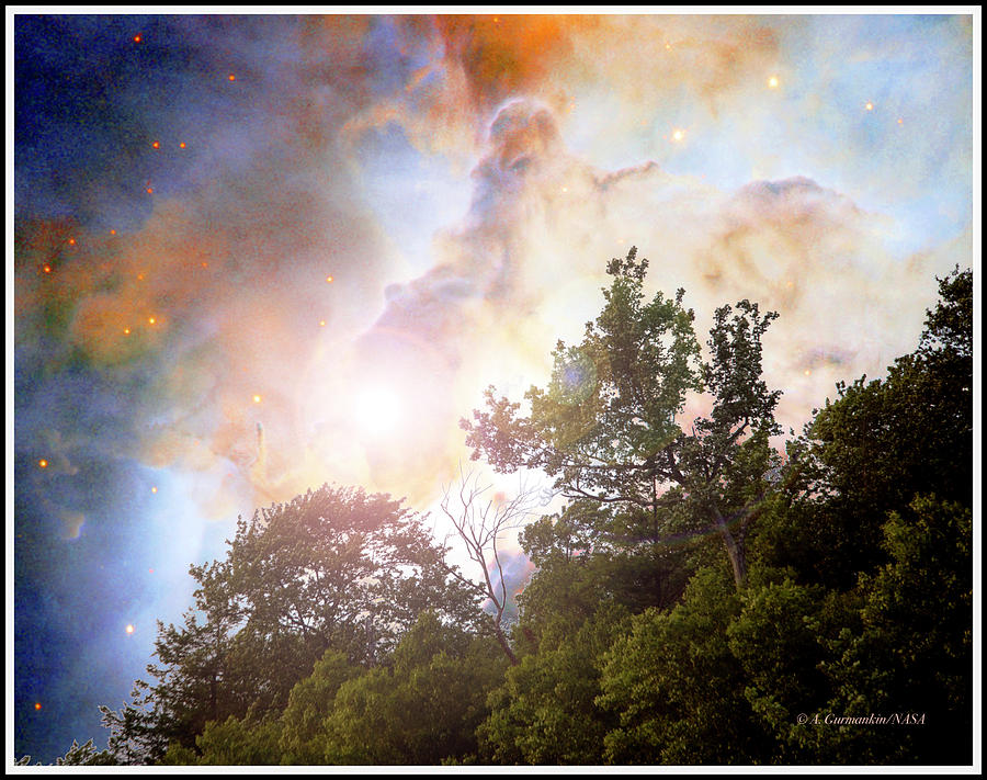 Fantasy Sky at Dusk Above a Forest Photograph by A Macarthur Gurmankin
