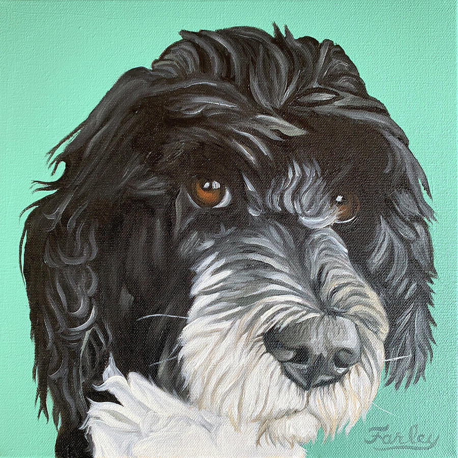 Farley by Nathan Rhoads Farley by Nathan Rhoads