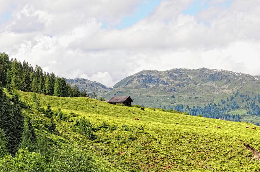 Farm At Schoenach Valley In Tirol Photograph by Hsvrs