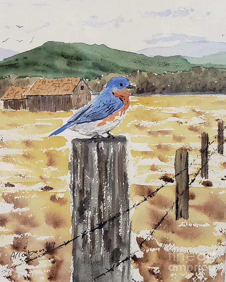 Farm Bluebird by Stanton Allaben Farm Bluebird by Stanton Allaben