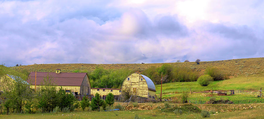 Farm Buildings Montana Photograph by Cathy Anderson