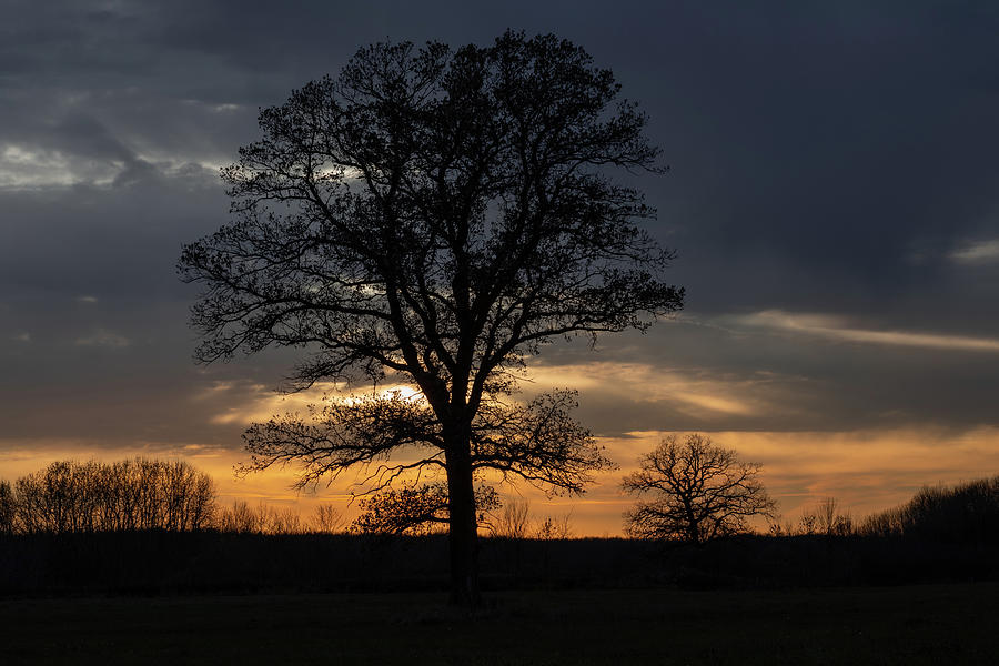 Farm Country Sunset Photograph by Jakub Sisak