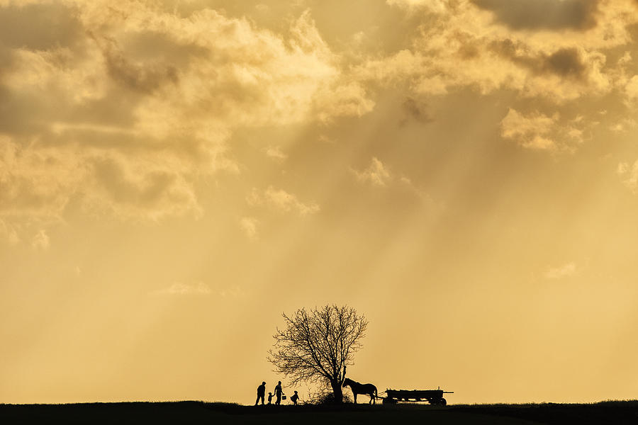 Farm Family Photograph by Dan Mirica