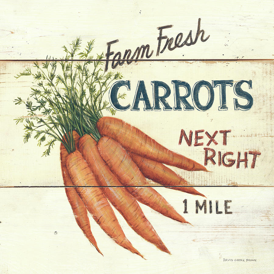 Vegetable Mixed Media - Farm Fresh Carrots by David Carter Brown
