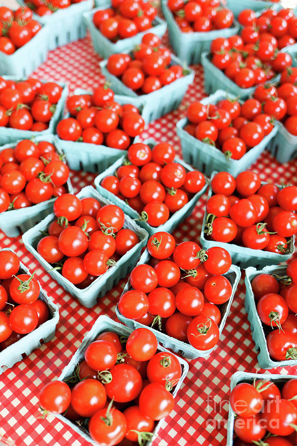 Tomato Photograph - Farm Fresh Cherry Tomatoes by Edward Fielding