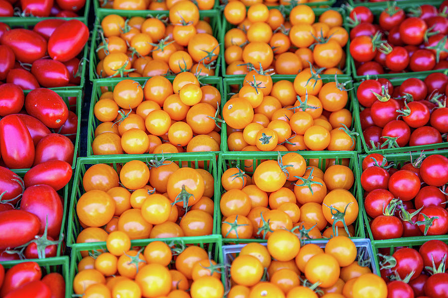 Farm Fresh Cherry Tomatoes Photograph by Peter Tellone