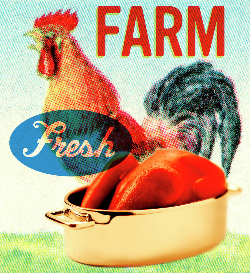 Chicken Drawing - Farm Fresh Chicken by CSA Images