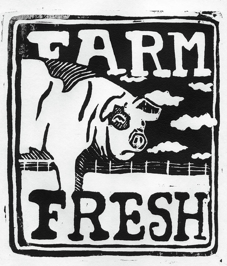 Farm Fresh Pig Relief by Jame Hayes