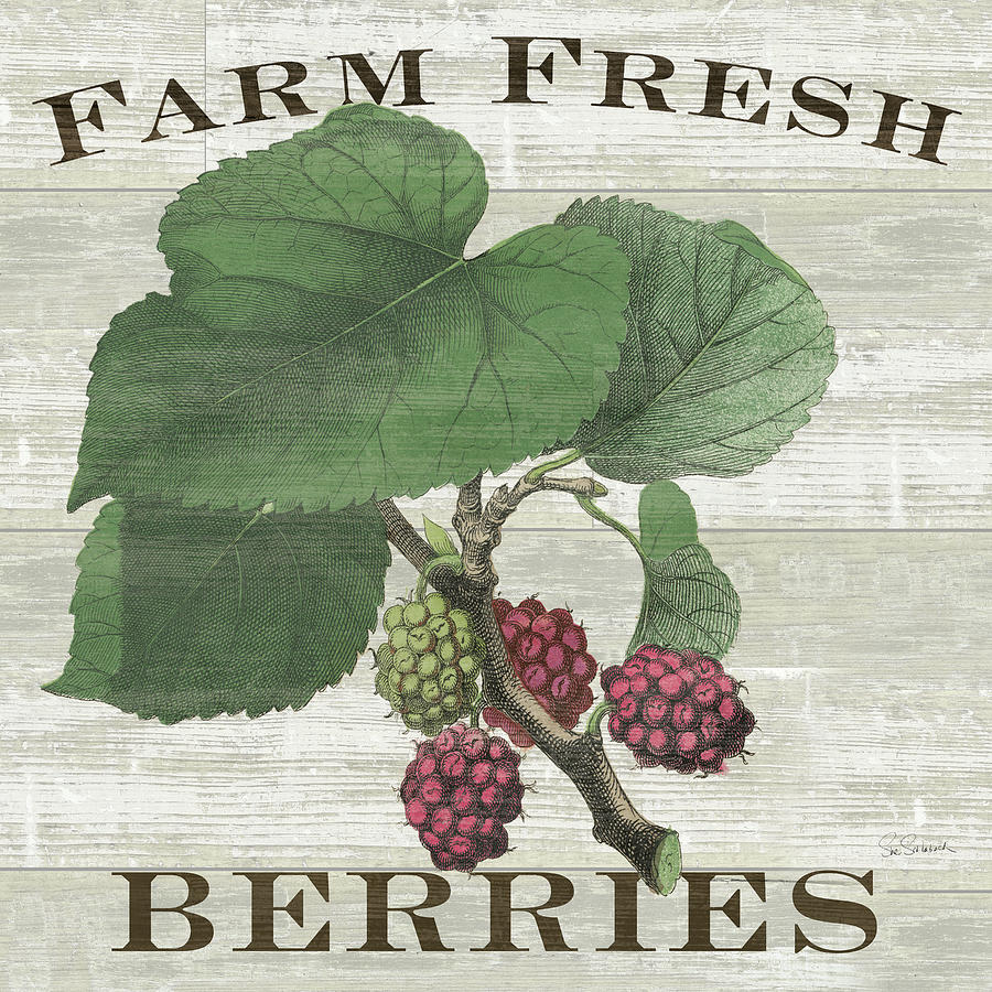 Farm Painting - Farm Fresh Raspberries Square by Sue Schlabach