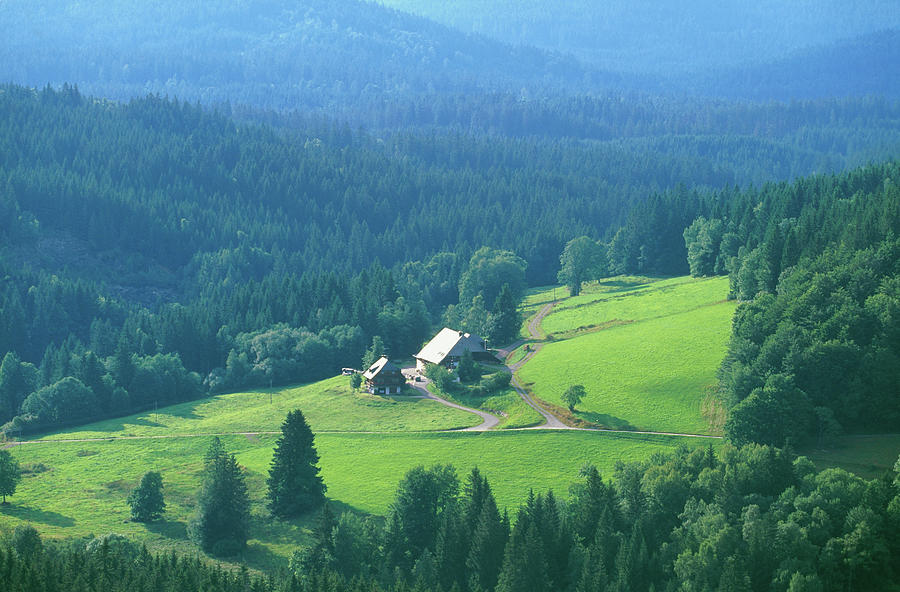 Farm In Black Forest Photograph by Martial Colomb
