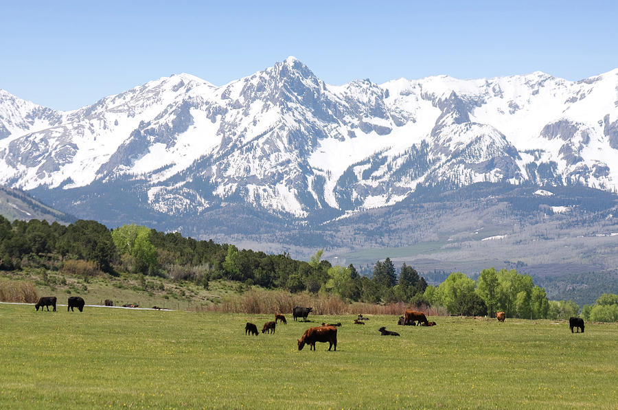 Farm In The Rocky Mountains By Richmatts