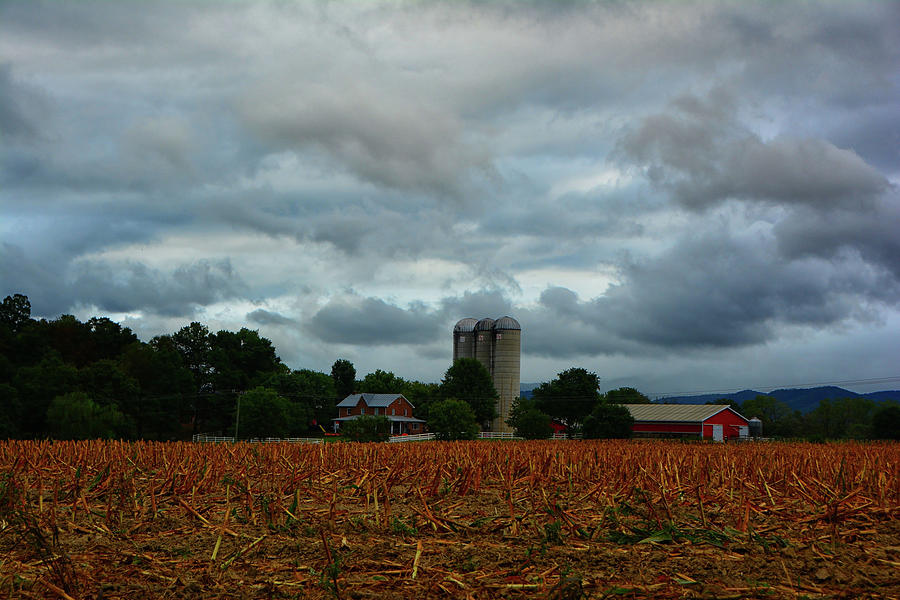Farm in the Shenandoah Valley by Raymond Salani III Farm in the Shenandoah Valley by Raymond Salani III